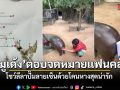 ซุปตาร์ หมูเด้ง ตอบจดหมายแฟนคลับตัวน้อยชาวอังกฤษ โชว์ลีลาปั๊มลายเซ็นด้วยโคนหางสุดน่ารัก