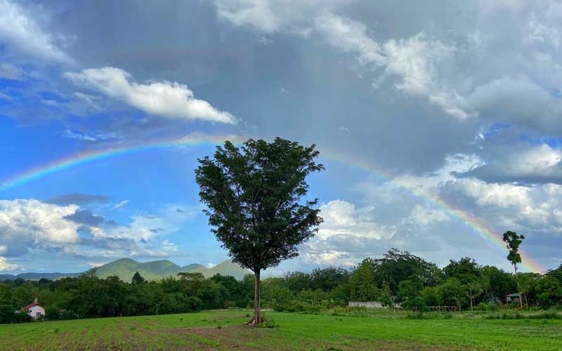 สวยงามมากๆ! ชมภาพรุ้งกินน้ำ7สี หลังฝนตกหนัก