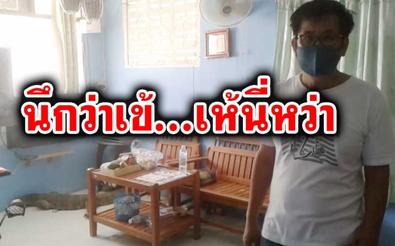 ‘ตัวเงินตัวทอง’ 2 เมตรวิ่งซุกใต้ทีวี นอนขู่ ดุร้าย เจ้าของบ้านผวานึกว่าจระเข้หลุด