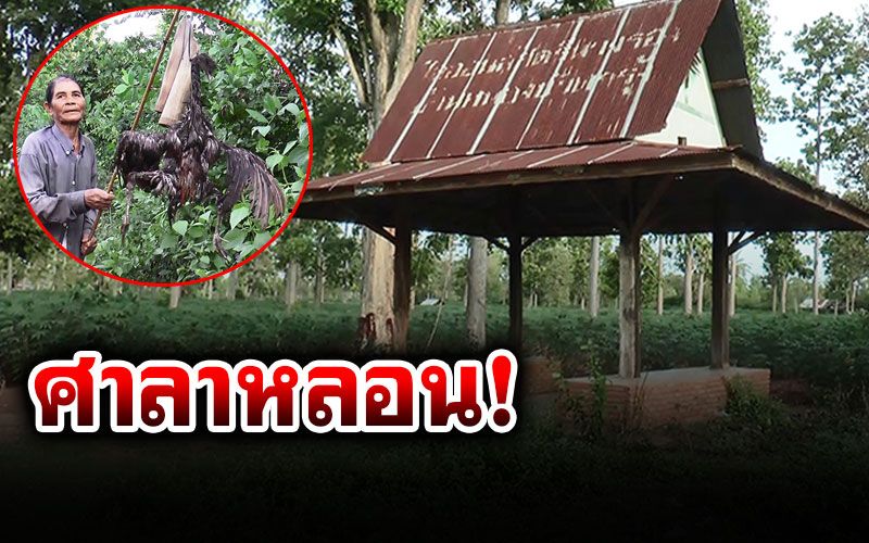 เรื่องเล่าหลอน!! หลบฝนศาลาริมทางช่วงโพล้เพล้ เจอซากไก่แขวนเซ่น'ผีตะกัง'