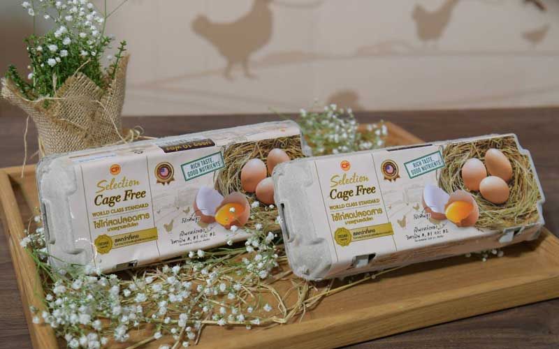 ‘ซีพีเอฟ’เดินหน้าเพิ่มการผลิตไข่ไก่เคจฟรีตอบรับเทรนด์ผู้บริโภค