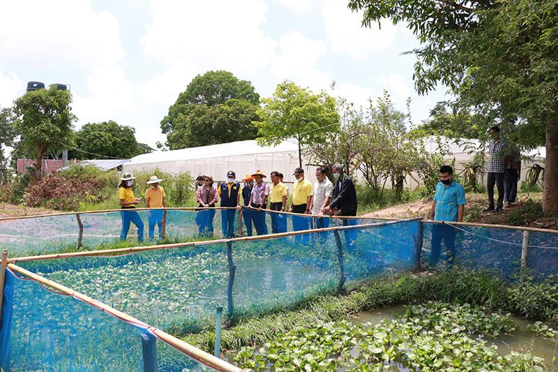 ในประเทศ รายงานพิเศษ ปศุสัตว์ลุยขับเคลื่อน‘Food Feed Farm’ คุมเข้ม