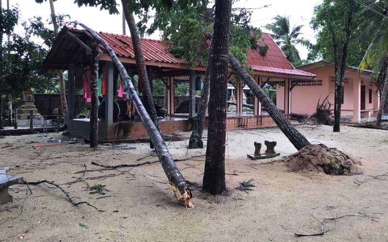พายุถล่มพัทลุงต้นไม้ล้มทับวัด-บ้านเรือนประชาชนพังเสียหาย
