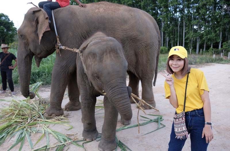 ‘หนึ่ง บางปู’ไม่กลัวกระแสดราม่าสร้างภาพ วิ่งรอก เหนือ-อีสาน ช่วยช้างตกงานกำลังจะอดตาย
