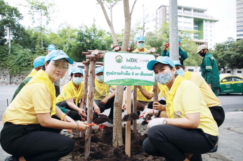 เอ็ม บี เค เซ็นเตอร์ ร่วมกับ สำนักงานเขตปทุมวัน  ปลูกต้นไม้ เพิ่มพื้นที่สีเขียวในเขตเมือง