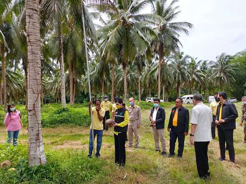รายงานพิเศษ :  สศก.เฉลิมพระเกียรติ‘ร.10’  เปิดตัวโครงการแรงงานคืนถิ่นพลิกฟื้นผืนดิน