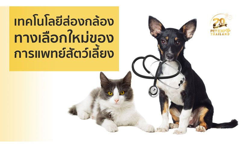 เทคโนโลยีส่องกล้อง ทางเลือกใหม่ของการแพทย์สัตว์เลี้ยง