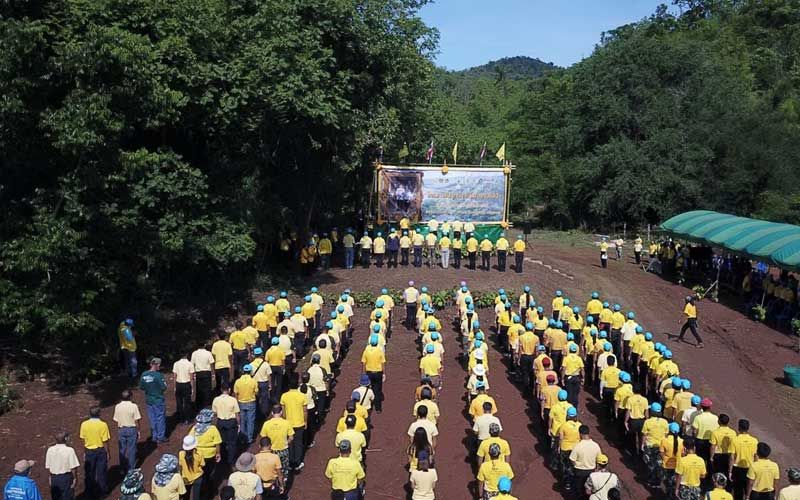 กาญจน์ผนึกกำลังกรมอุทยานฯนำจิตอาสาพระราชทานปลูกต้นไม้เพิ่มพื้นที่สีเขียว