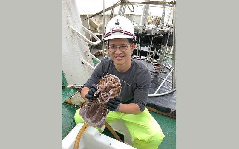 Science Update : ค้นพบ ‘แมลงสาบยักษ์’ ในอินโดนีเซีย