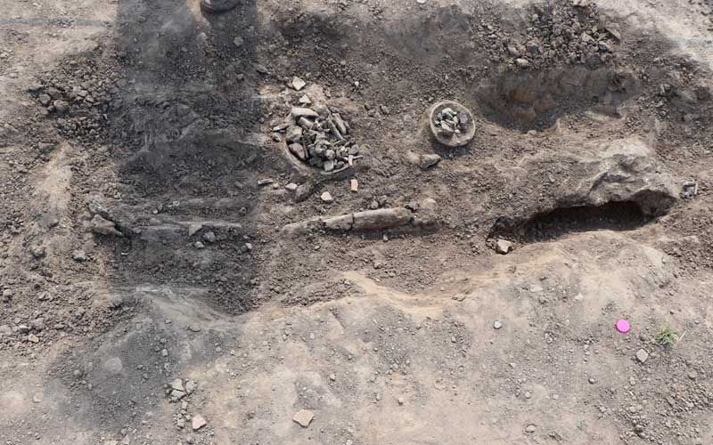 ฮือฮา! พบโครงกระดูกมนุษย์ก่อนประวัติศาสตร์ ชาวบ้านแห่ดูคึกคัก