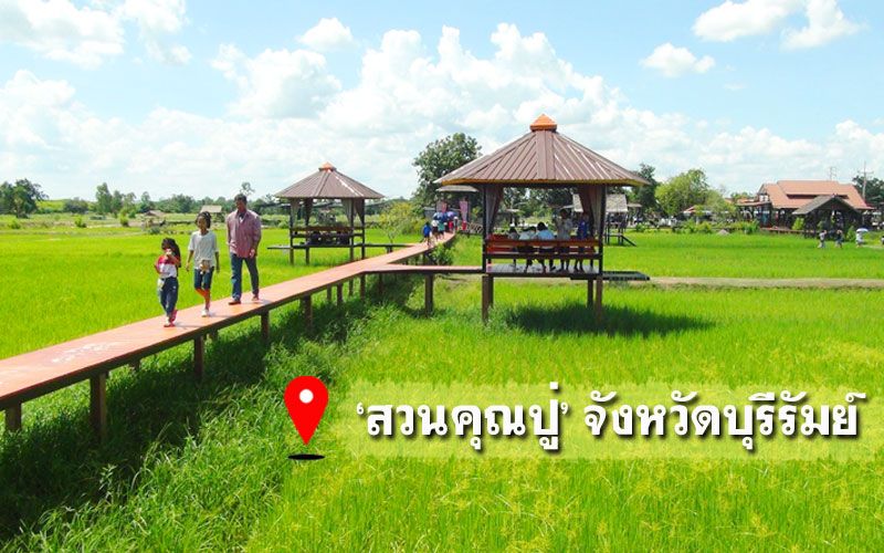 แวะเช็คอิน'สวนคุณปู่'ทุ่งนาเขียวขจีใกล้เมืองบุรีรัมย์