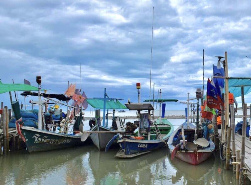 รายงานพิเศษ : กฎหมายประมงไม่ทำร้ายใคร...  มุ่งสร้างความอยู่ดีกินดีให้เกษตรกร-ทรัพยากรสัตว์น้ำยั่งยืน