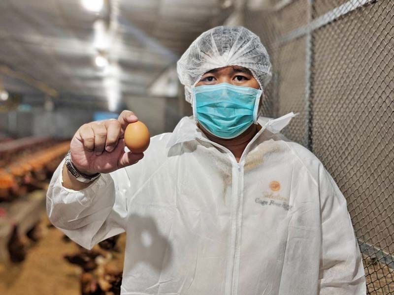 ไข่ไก่เคจฟรี ซีพีเอฟ เพื่อสุขภาพที่ดีของผู้บริโภค