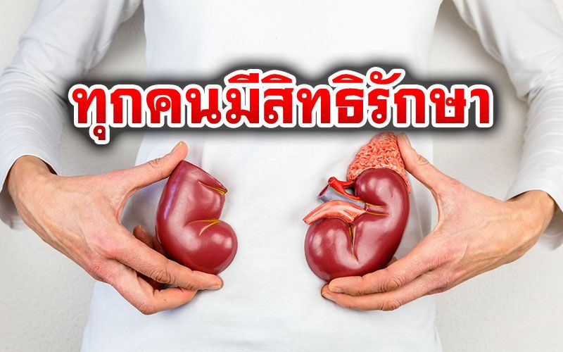 'สมาคมเพื่อนโรคไต'ย้ำคนไทยทุกคนมีสิทธิรักษา ไม่ต้องไปลักทรัพย์หาค่าใช้จ่าย