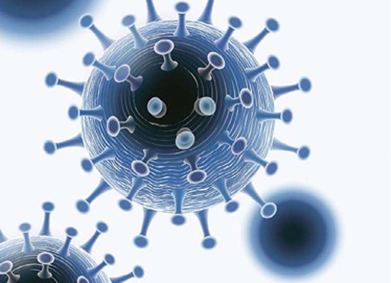 โรชเปิดตัวชุดตรวจแบบแรพิดเทสต์คัดกรองไวรัสโควิด-19