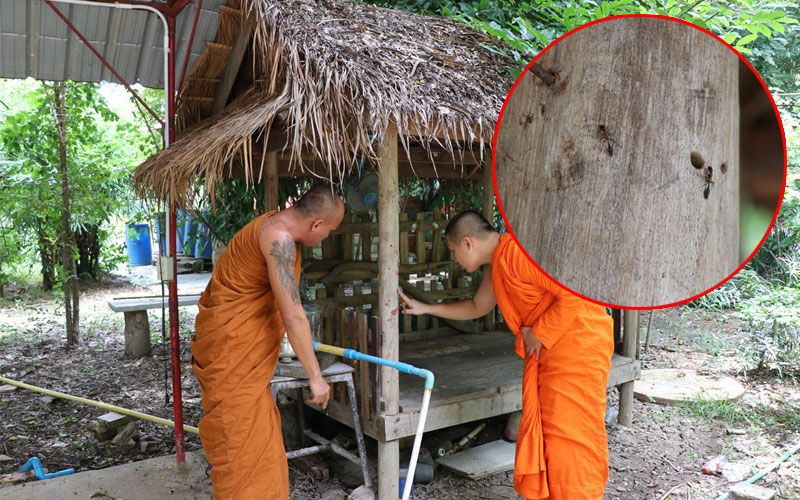 พระหวิดชะตาขาด! โดนมดตะนอยกัดช็อกหมดสติ โชดดีเณรเรียกรถรพ.ทัน