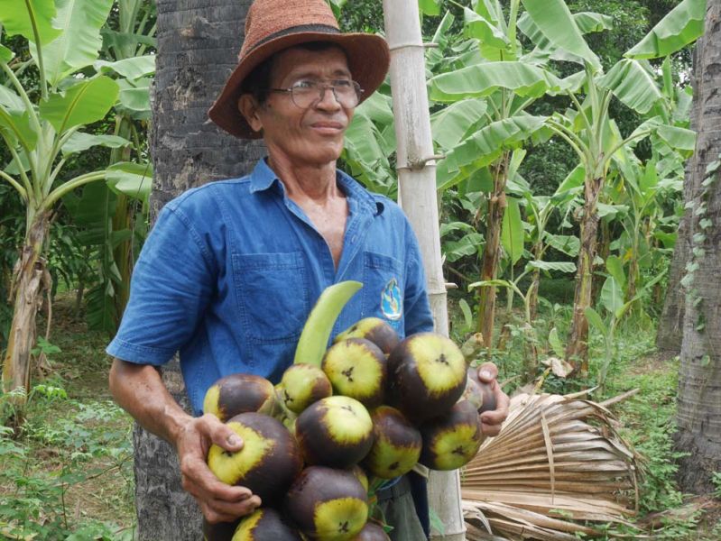 รายงานพิเศษ : ‘สุริยะ ชูวงศ์’เกษตรกรดีเด่นบัญชีฟาร์ม  ยึดปรัชญาศก.พอเพียงนำทางสู่ความสำเร็จ