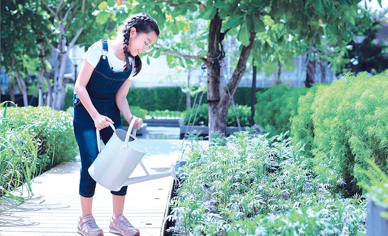 เจียไต๋ ชวนปลูกผัก ปลูกรักแม่ลูก สร้างแหล่งอาหารคุณภาพได้ง่ายๆ ในรั้วบ้าน