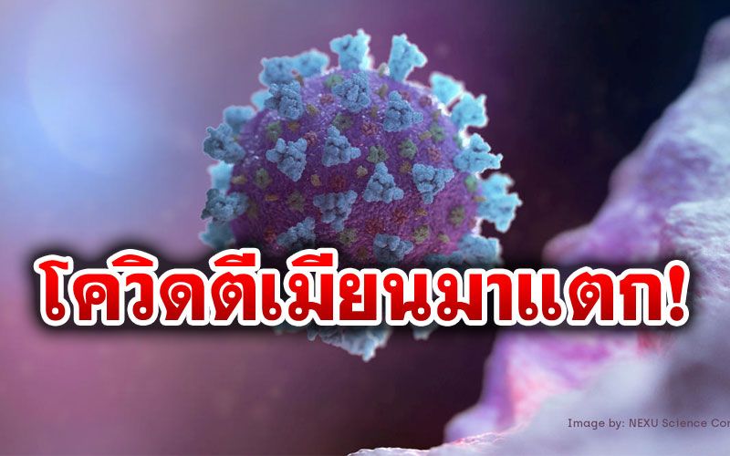 โควิดตีเมียนมาแตก! นักวิชาการจี้'ปิดพรมแดน' ส่งผู้เชี่ยวชาญข้ามฝั่งไปช่วยก่อนระบาดลามถึงไทย