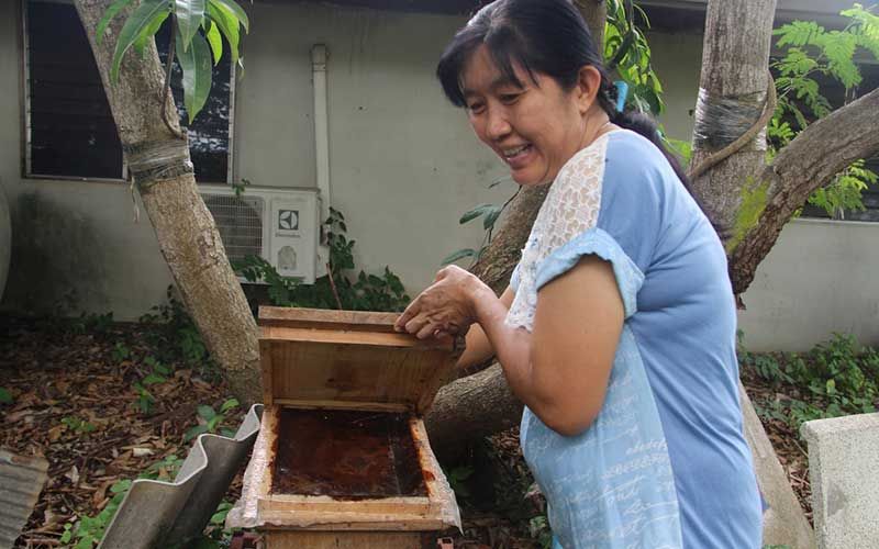 ชาวจอมบึง 'เลี้ยงผึ้ง ชันโรง' นำน้ำหวานมาแปรรูปทำสบู่สมุนไพรเพื่อสุขภาพ