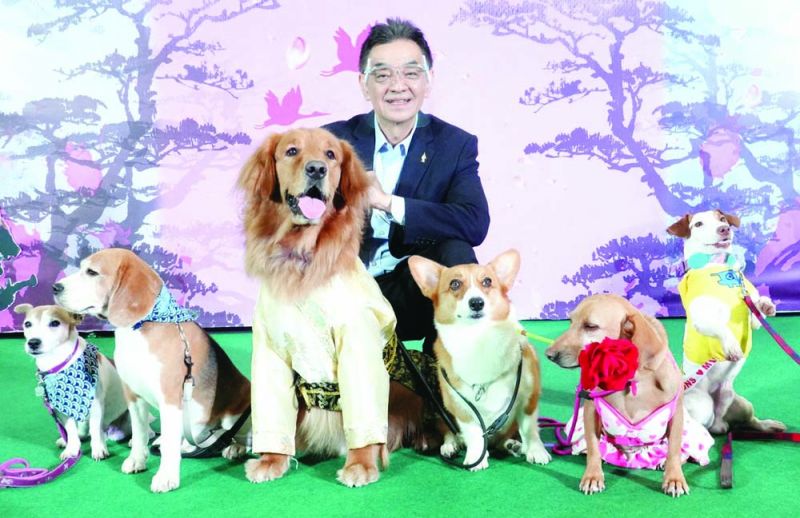 เก็บตกความน่ารักของเหล่าสัตว์เลี้ยง  ในงาน Pet Expo Thailand 2020