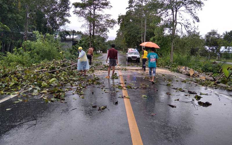 พิษพายุโนอึล! ทำเมืองคอน ฝนตกลมแรงหักโค่นต้นไม้ล้มขวางถนนหลายจุด