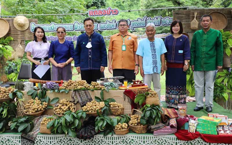 เมืองลับแลเตรียมจัดงาน 'เทศกาลลางสาด ลองกองหวานฯ' ปลายเดือนนี้