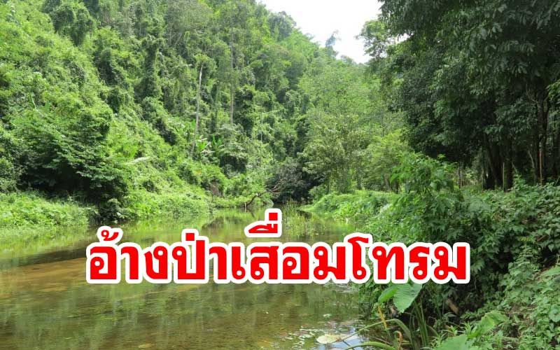 ‘ชาวบ้านพุระกำ’เผย EIA กรมชลฯ อ้างป่าเสื่อมโทรมสร้างเขื่อน