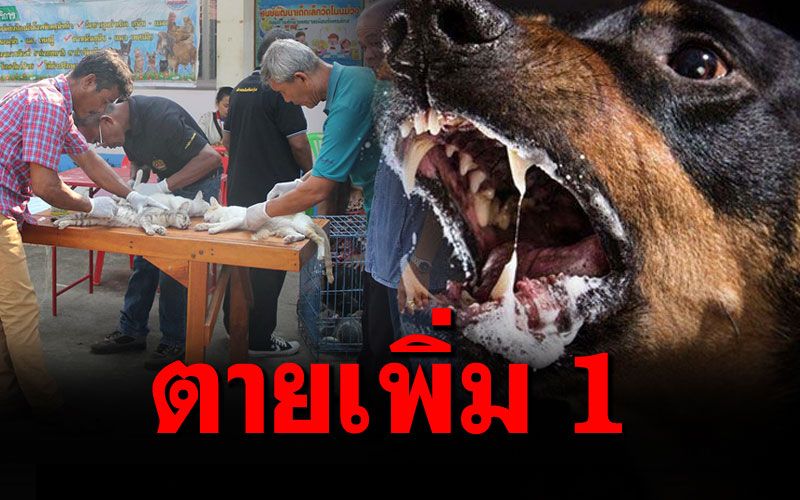 พิษสุนัขบ้าคร่าสาวใหญ่'ศรีสะเกษ' พบประวัติโดนข่วน-ไม่ฉีดวัคซีนป้องกัน
