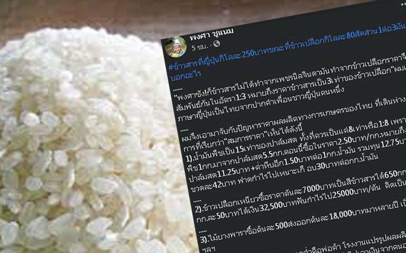 'หน.พรรคกรีน'ชี้แก้ปัญหาภาคเกษตร ต้องจัดโครงสร้างกำไร'เกษตรกร-นายทุน'ใหม่