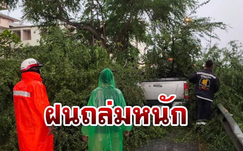 ฝนถล่ม‘ชลบุรี’ต้นมะขามยักษ์ล้มทับกระบะ กู้ภัยเร่งช่วยคนติดอยู่ในรถ