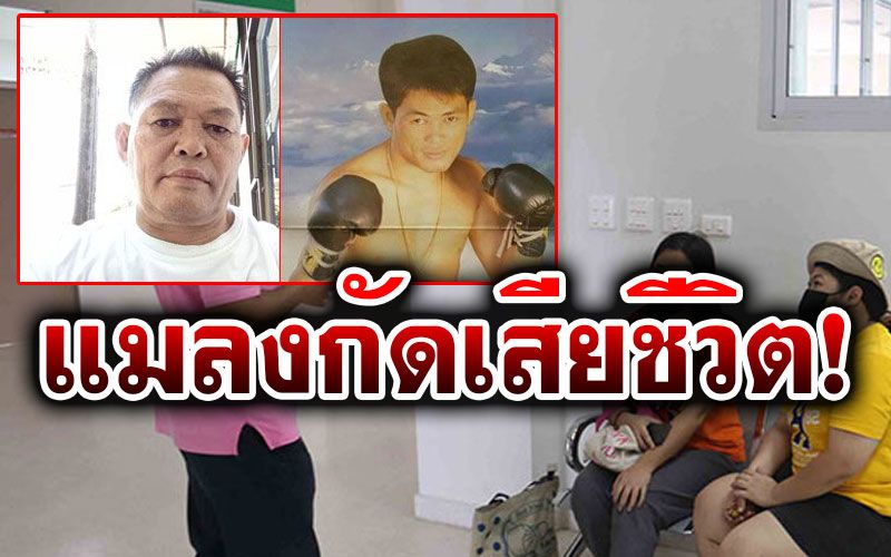 ด่วน! อดีตนักมวยดัง'ดอกไม้ป่า ป.พงษ์สว่าง' โดนแมลงกัดติดเชื้อเสียชีวิต