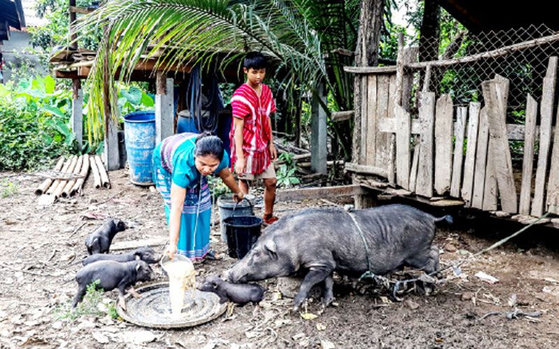 เยือนโรงเรียนโมโกรวิทยาคม  อุ้มผางแผ่นดินลอยฟ้าคดเคี้ยวกว่าพันโค้ง  ‘อยู่เมือง อยู่ป่า ได้รับการศึกษาเหมือนกัน’