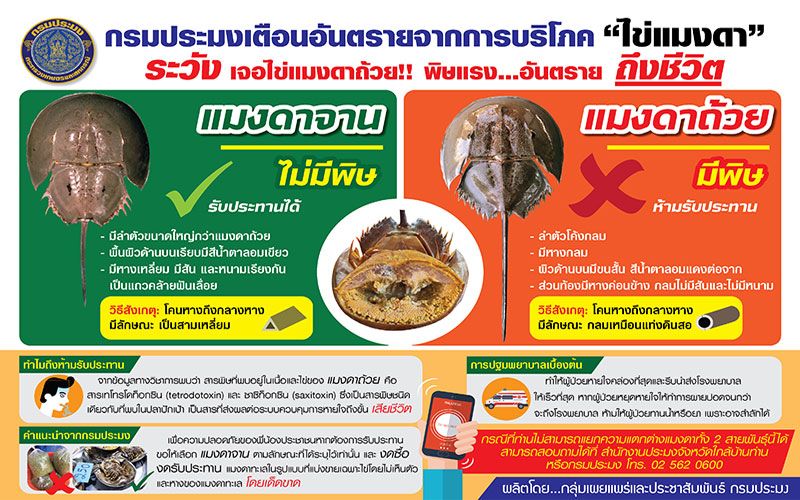 กรมประมงเตือนปชช.ระวัง กิน'แมงดาทะเล'ผิดชนิด อาจได้รับพิษร้ายถึงตายได้