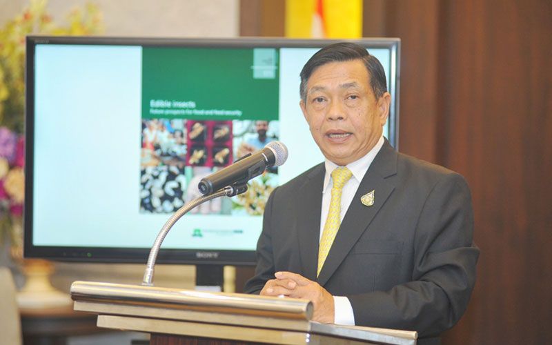 เกษตรฯตั้งเป้าไทย 'ฮับโปรตีนแมลงโลก' หนุนเกษตรทางเลือกให้เกษตรกรยุคโควิด