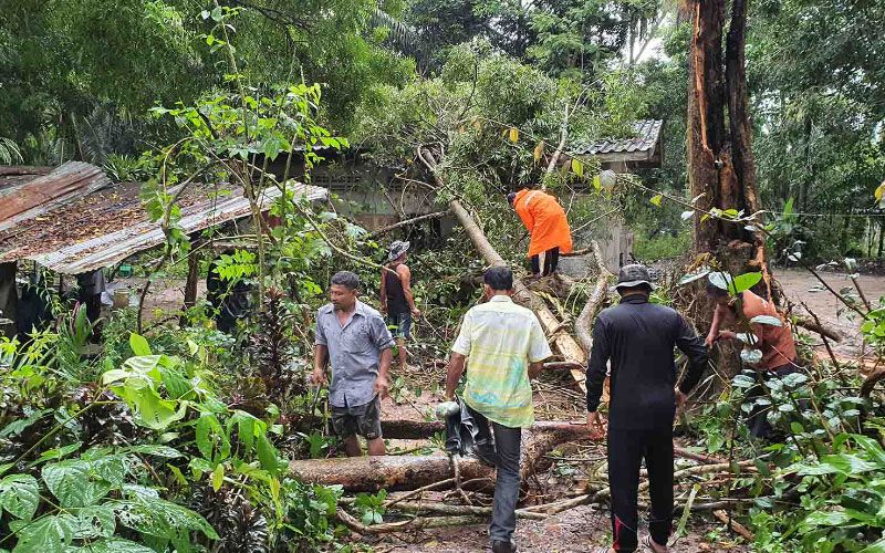เดชะบุญ! พายุถล่ม ‘หลังสวน’ ต้นไม้ใหญ่อายุ100ปี ล้มทับบ้านวิ่งหนีทัน