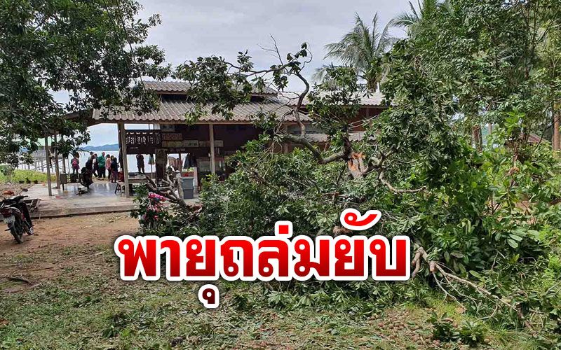 พายุหมุนถล่ม ‘หลังสวน’ 2หมู่บ้านพังยับ ตายายผวาอยู่ลำพัง