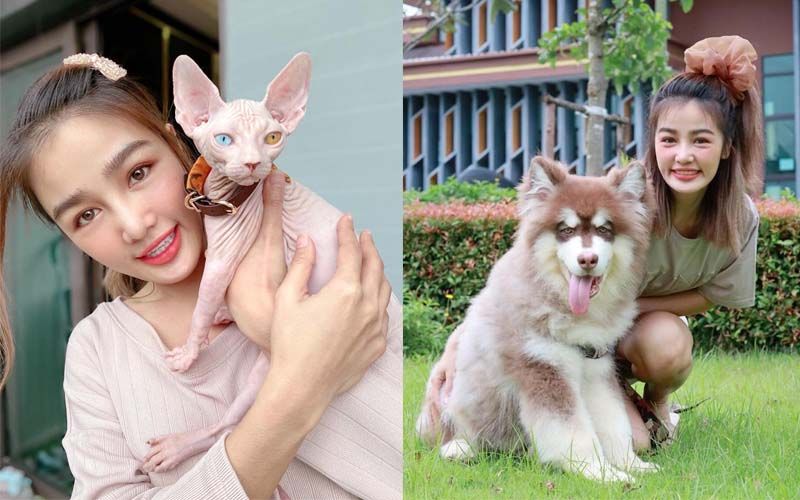 ‘กระแต อาร์สยาม’แจงซื้อแมวหมา เป็นความชอบส่วนตัว เมินดราม่าเดินหน้าเข้าวัดสร้างเจดีย์ จ.ศรีสะเกษ สะสมบุญ