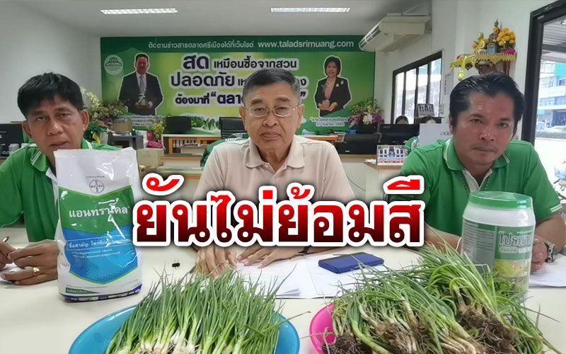 ยืนยันแล้ว! ตลาดศรีเมืองแถลงผลตรวจต้นหอมไม่ได้ย้อมสี-ยาฆ่าแมลง