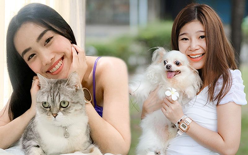 ‘จุ๋ย- จรสพรรณ -นุ้งนิ้ง-กนกรส’ แท็กทีมร่วมแชร์ทิปส์ดูแลสุขภาพเพื่อนรักสี่ขา