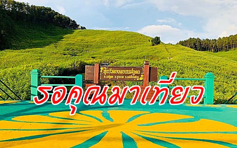 เที่ยวเมืองสามหมอกสัมผัสอากาศหนาว ชมทุ่งบัวตอง มองน้ำตกแม่สุรินทร์ เยือนถิ่นสัมพันธ์ไทย-ญี่ปุ่น