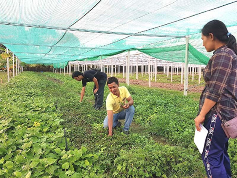 ‘กลุ่มเกษตรอินทรีย์ร่มเย็นราชบุรี’  มุ่งผลิตสินค้าปลอดภัย-สร้างความมั่นคงด้านอาหาร