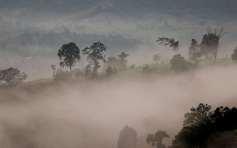 จุดชมวิว'ภูค้อ'ทะเลหมอกสวยอากาศ13องศา 'ภูหลวง'หนาวสุด10องศา