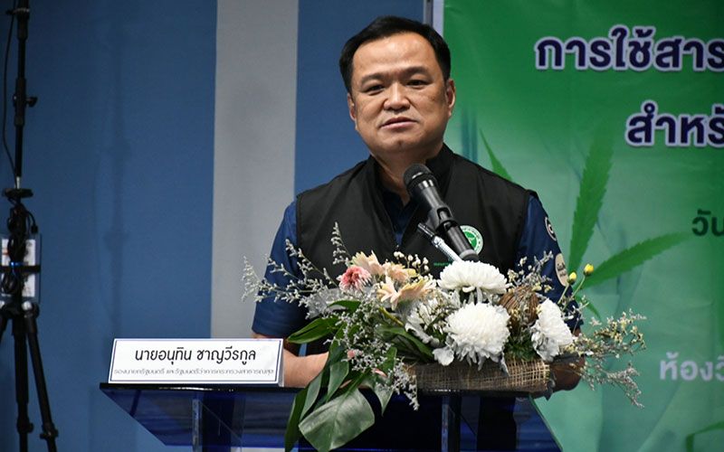 คลินิกกัญชาทางการแพทย์เปิดแล้วกว่า 300 แห่ง ส่วนใหญ่ป่วยมะเร็งระยะสุดท้าย