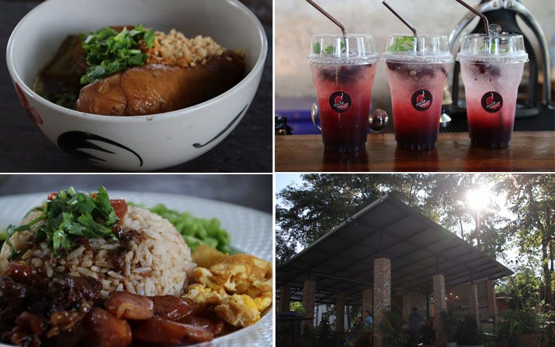 วันหยุดยาวเที่ยวสวนเกษตร ชิมก๋วยเตี๋ยวไก่ใบหม่อน 1 เดียวในพิษณุโลก