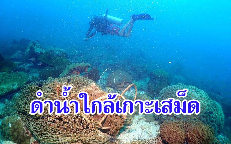 จุดดำน้ำลึกแห่งใหม่ใกล้เกาะเสม็ด แนวปะการังใหญ่สุด อ่าวไทยตะวันออก