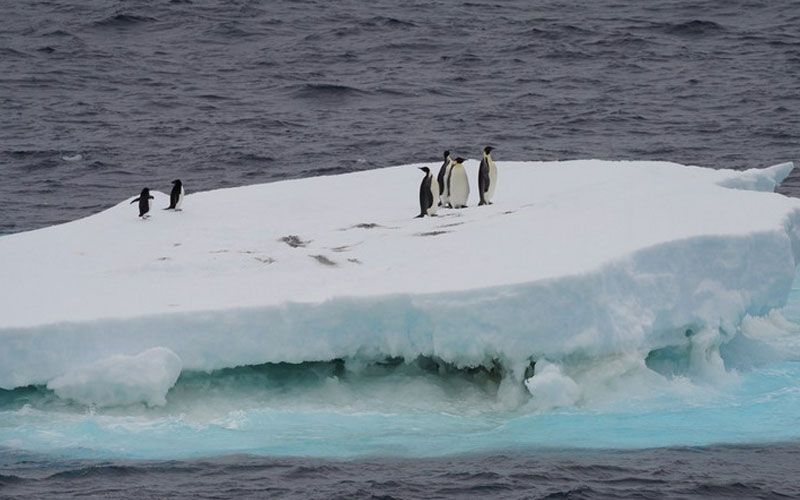 ‘พืดน้ำแข็งแอนตาร์กติก’ละลายกว่า2.6ล้านตร.กม. ทำระดับน้ำทะเลเพิ่มสูงขึ้นมาก