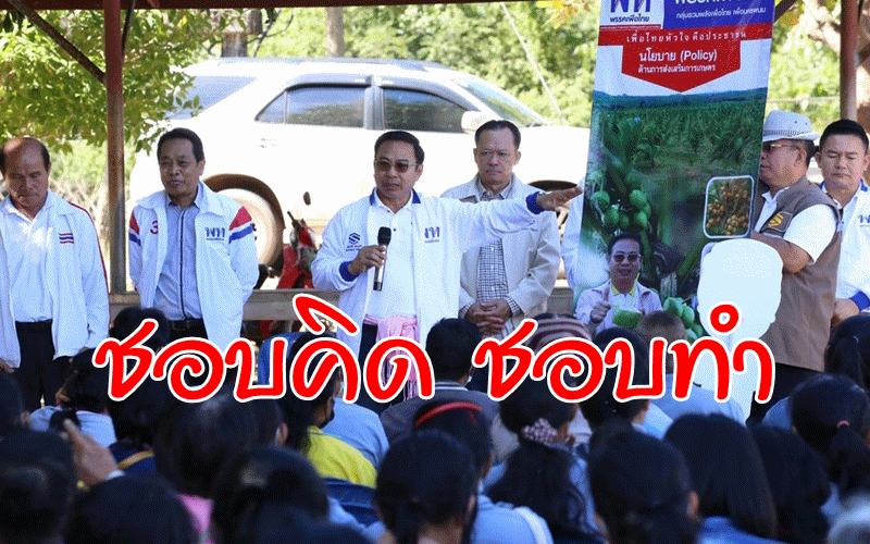 'ดร.สมชอบ' จับมือเพื่อไทยชูนโยบายปลูกพืชเศรษฐกิจ หนุนปลูกมะพร้าวผลิตกะทิ