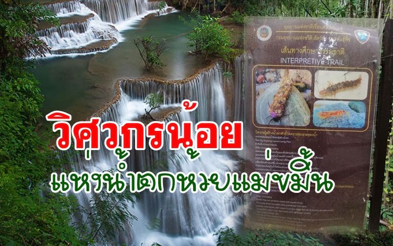 เที่ยว'น้ำตกห้วยแม่ขมิ้น'ต้องรู้จักแมลงหนอนปลอกน้ำ'วิศวกรน้อย'ผู้สร้างน้ำตกให้เกิดชั้นหินย้อย