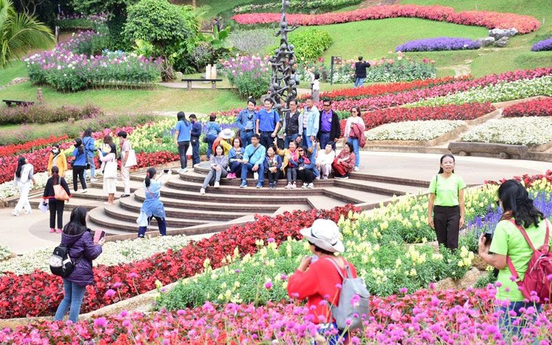 เริ่มแล้วเทศกาล 'สีสันแห่งดอยตุง' รับลมหนาวส่งท้ายปี